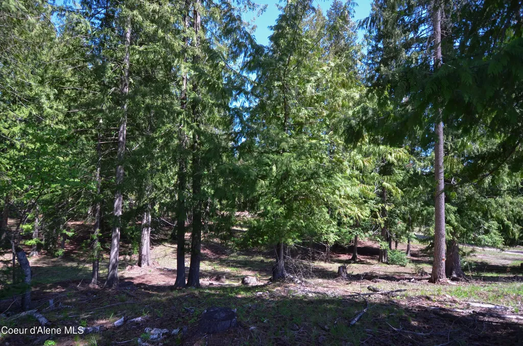 Estate Lot 3 Camp Bay Estates Sagle ID 83860