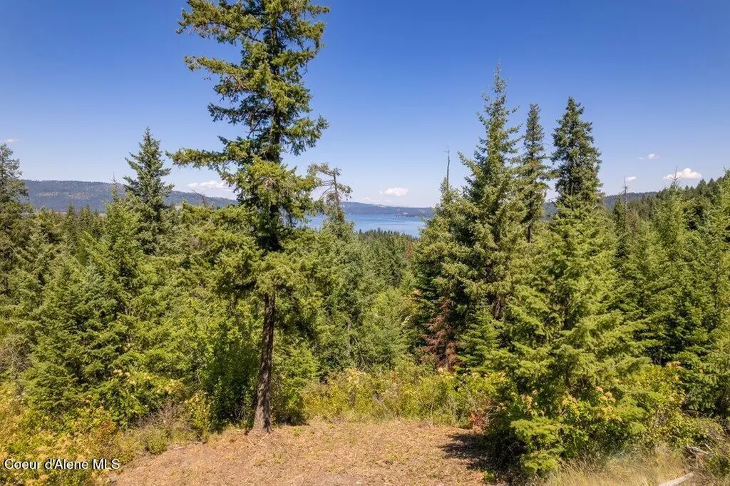 Nka Highway 97 Harrison ID 83833