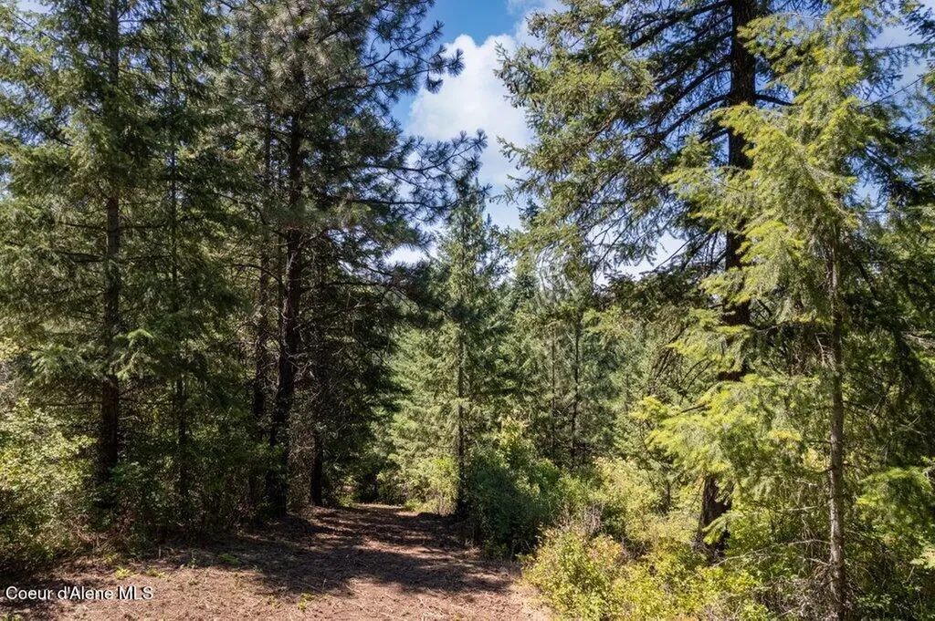 Nka Highway 97 Harrison ID 83833