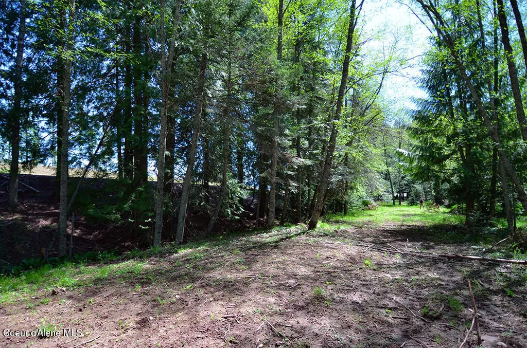 Lot 21 Camp Bay Sagle ID 83860