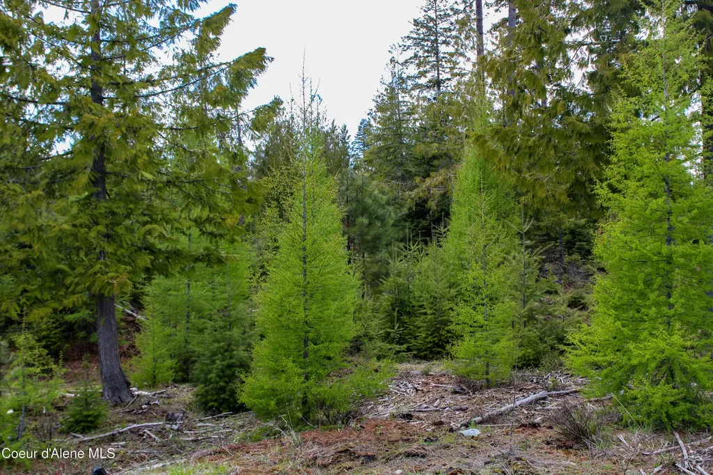 Estate Lot 8 Camp Bay Estates Sagle ID 83860