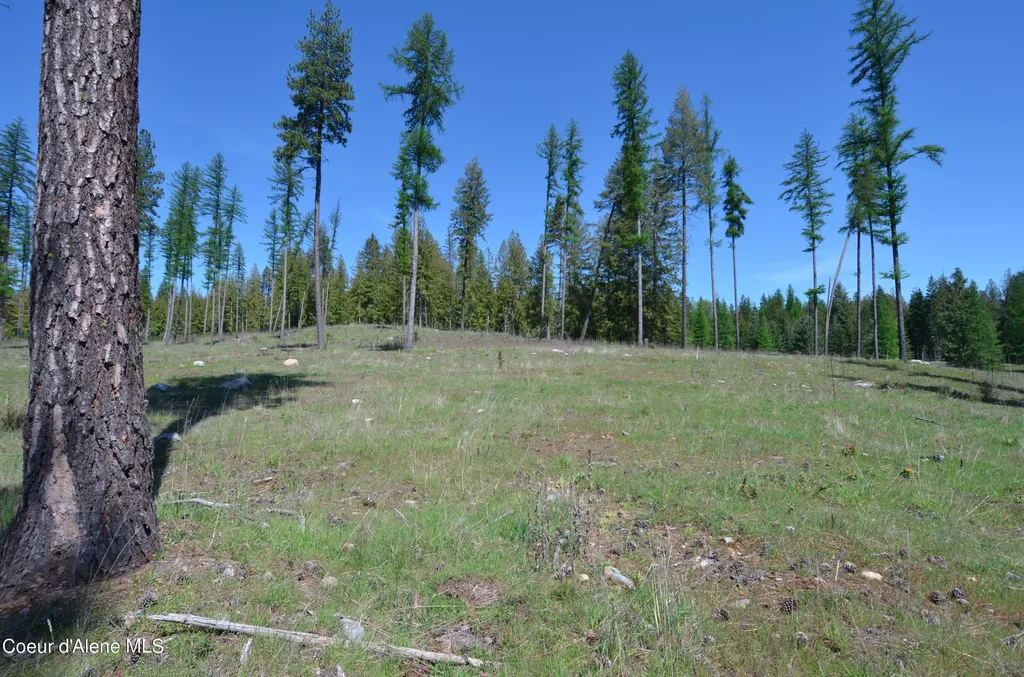 Lot 18 Camp Bay Sagle ID 83860