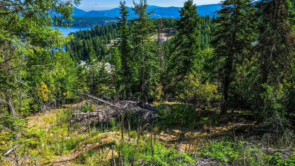 Nna E Lookout Drive Hayden ID 83835