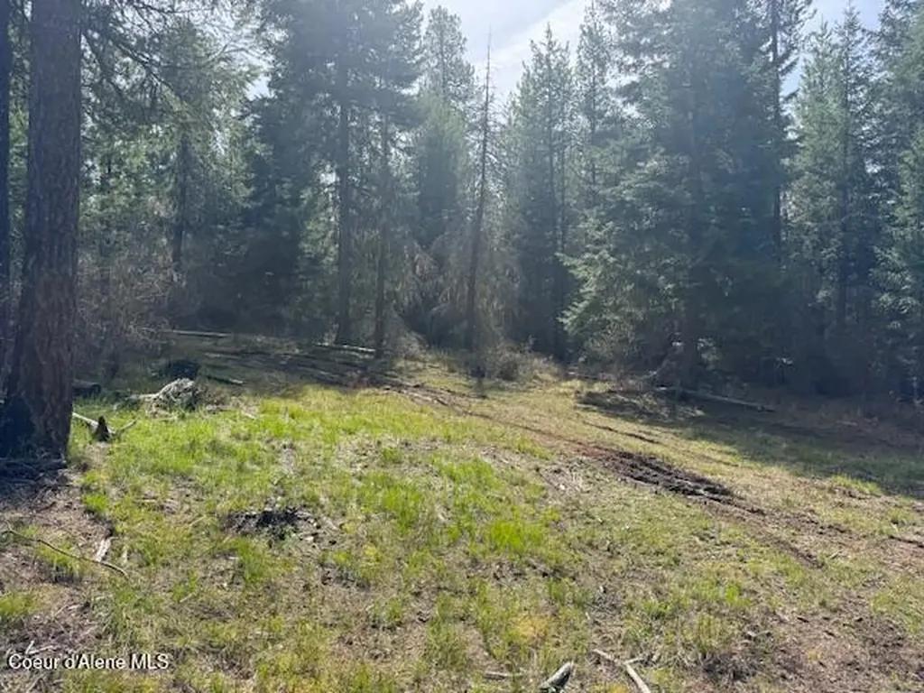 833 Willow Loop Road Fernwood ID 83830