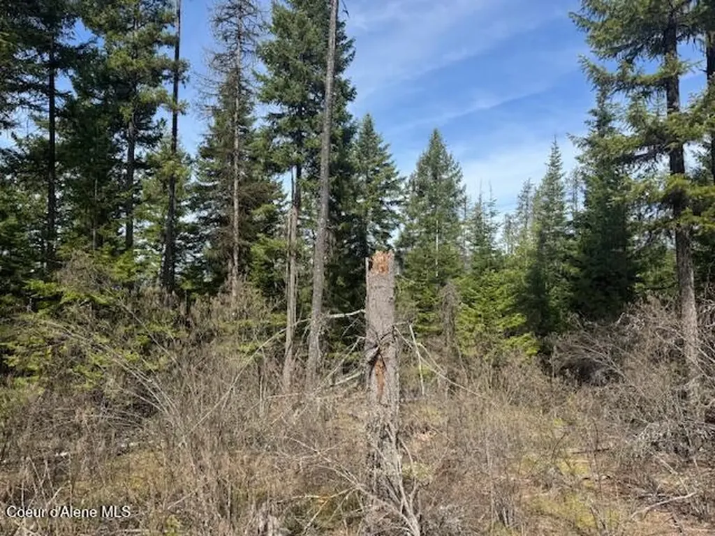 833 Willow Loop Road Fernwood ID 83830