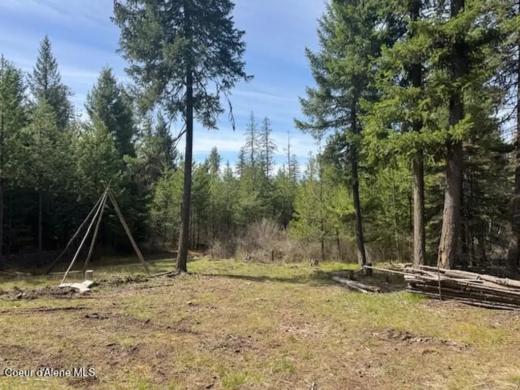 833 Willow Loop Road Fernwood ID 83830