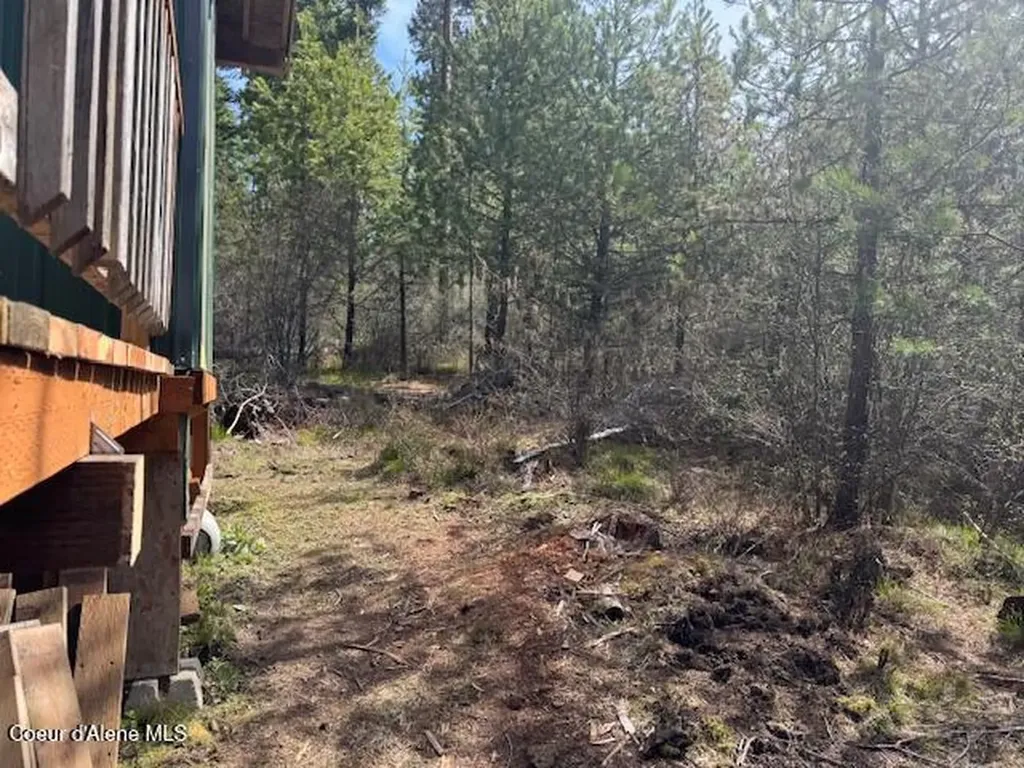 833 Willow Loop Road Fernwood ID 83830