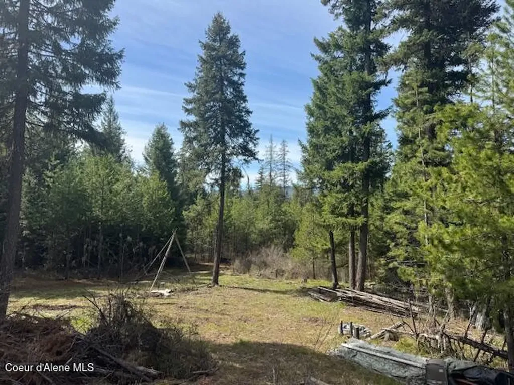 833 Willow Loop Road Fernwood ID 83830