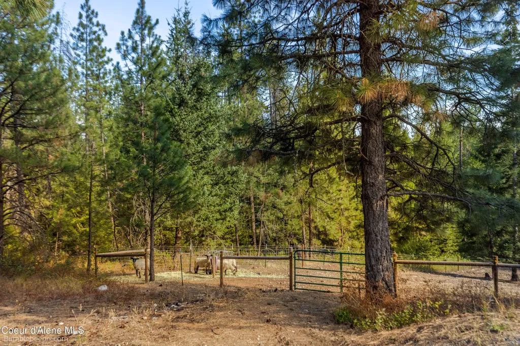 2965 W Summer Avenue Athol ID 83801