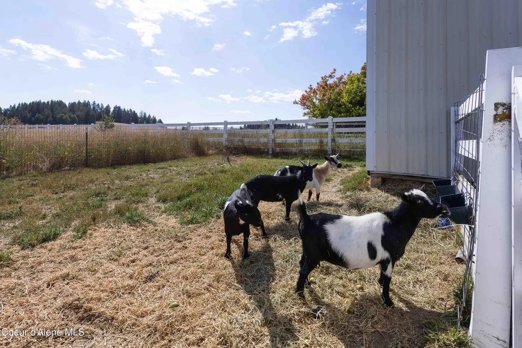 18850 W Elder Road Worley ID 83876