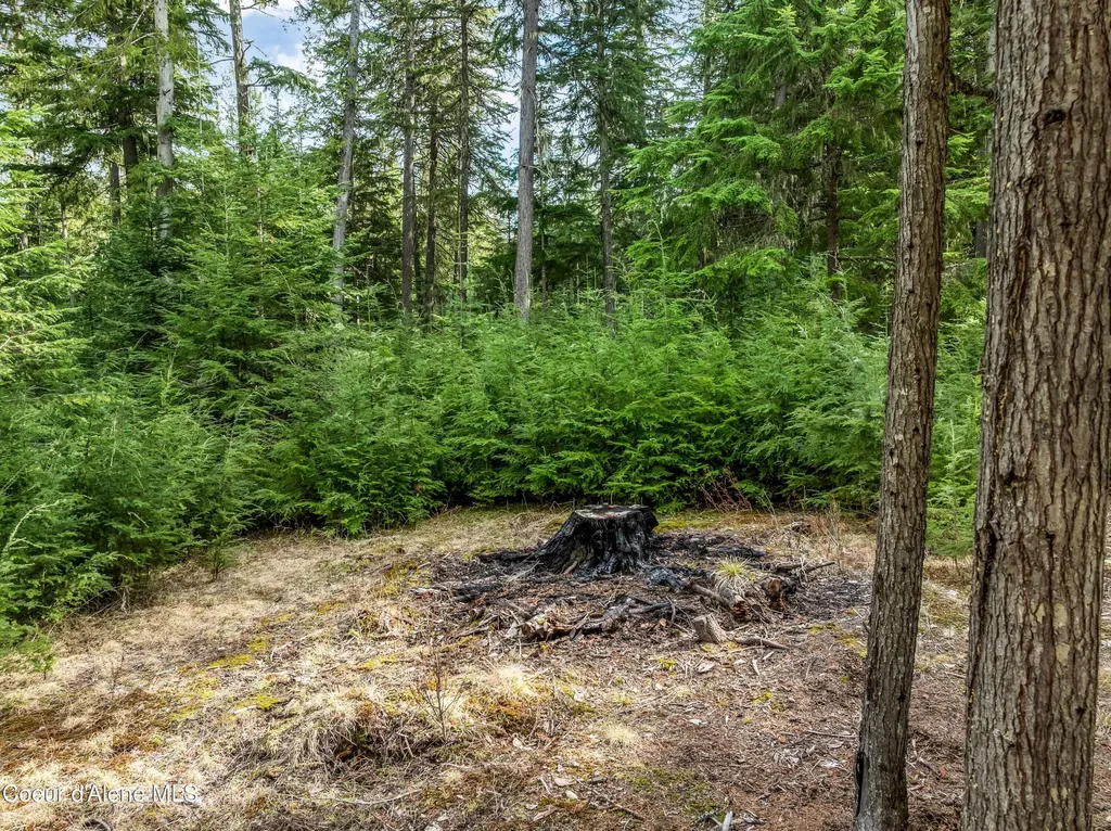 Lot 1 Peirone Estates Nordman ID 83848