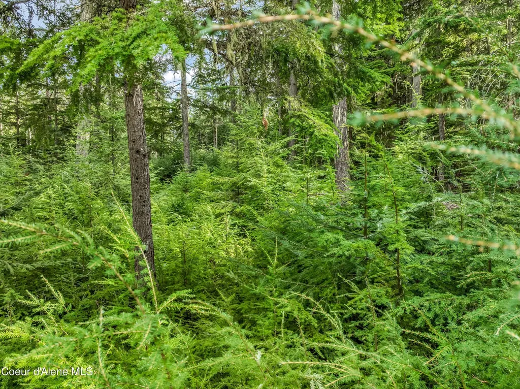 Lot 1 Peirone Estates Nordman ID 83848