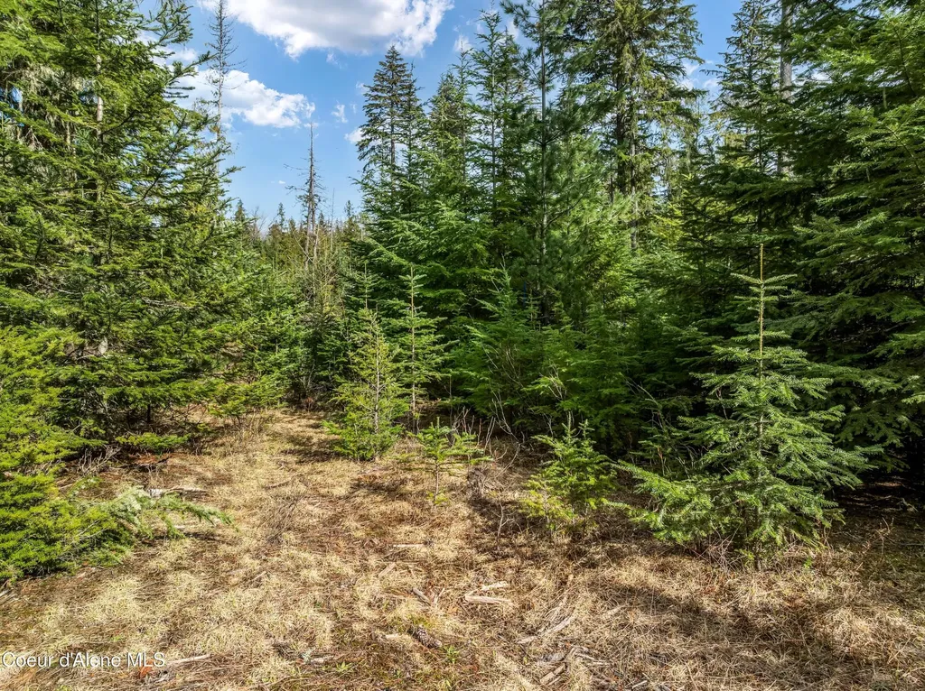 Lot 1 Peirone Estates Nordman ID 83848