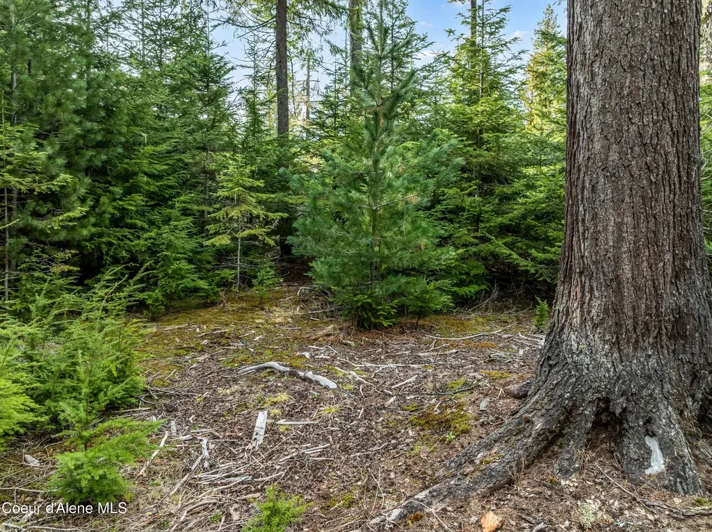 Lot 1 Peirone Estates Nordman ID 83848