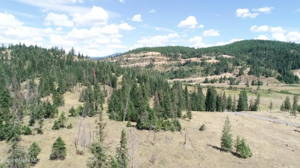 Nna Lot 1 Carpenter Creek Road Fernwood ID 83830