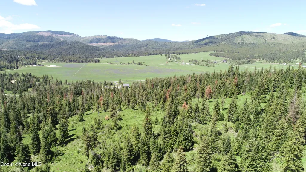 Nna Lot 1 Carpenter Creek Road Fernwood ID 83830