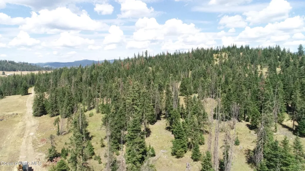 Nna Lot 1 Carpenter Creek Road Fernwood ID 83830