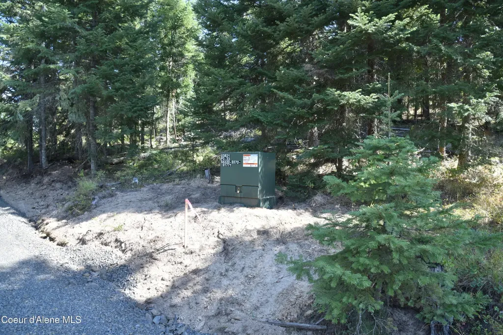 Nna Lot 1 Carpenter Creek Road Fernwood ID 83830