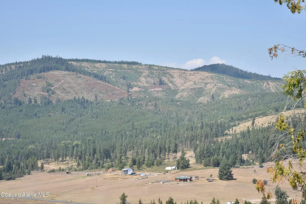 Nna Lot 1 Carpenter Creek Road Fernwood ID 83830