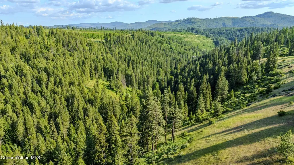 Nna Flat Creek Road St. Maries ID 83861