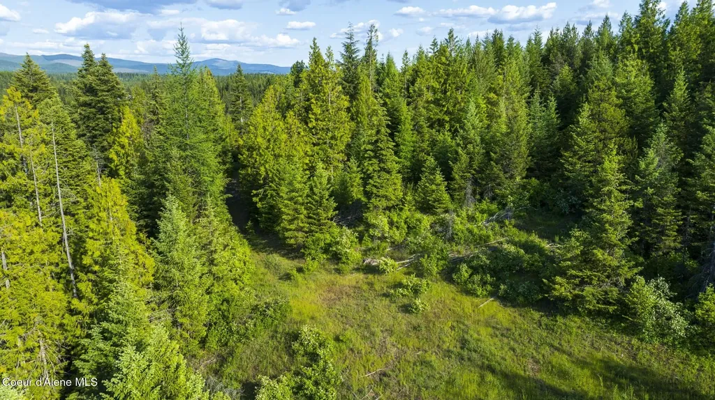 Nna Flat Creek Road St. Maries ID 83861