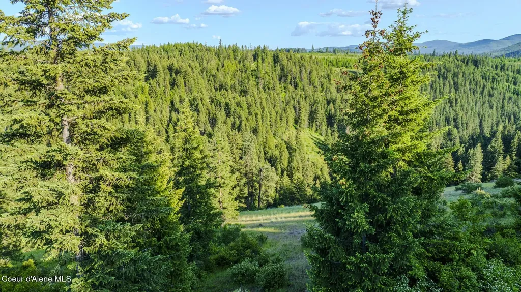 Nna Flat Creek Road St. Maries ID 83861