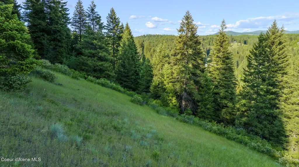 Nna Flat Creek Road St. Maries ID 83861
