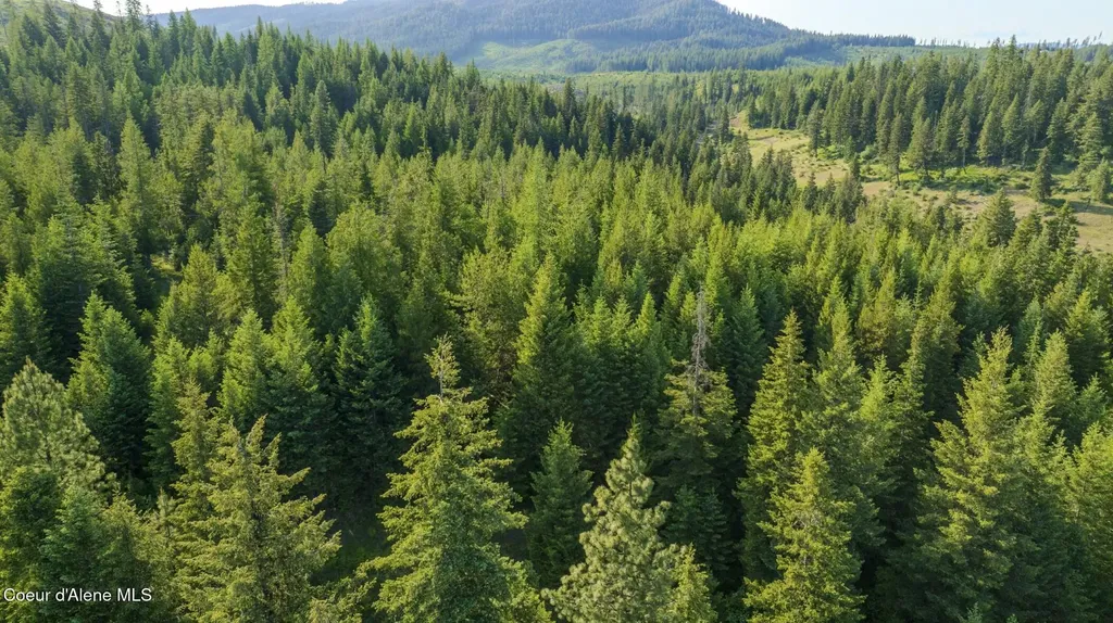 Nna Flat Creek Road St. Maries ID 83861