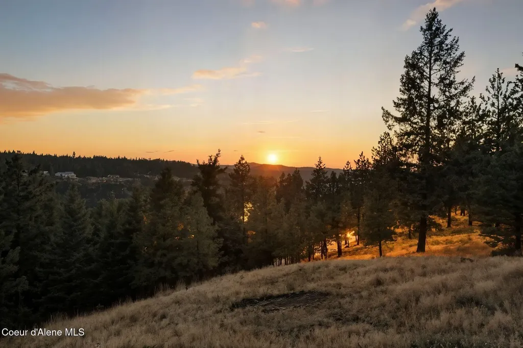 4440 E Lisa Road Harrison ID 83833