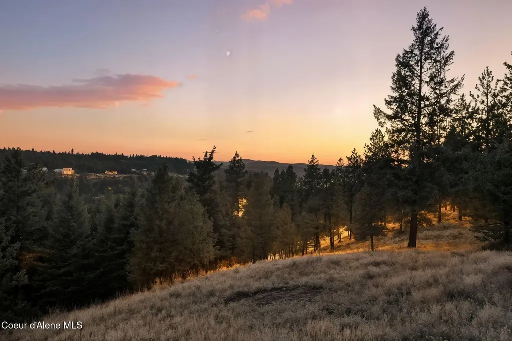 4440 E Lisa Road Harrison ID 83833