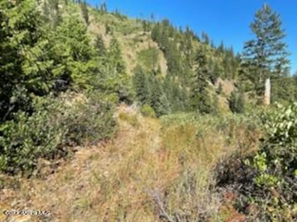 Nka Burke 34.38 Acres Road Wallace ID 83873