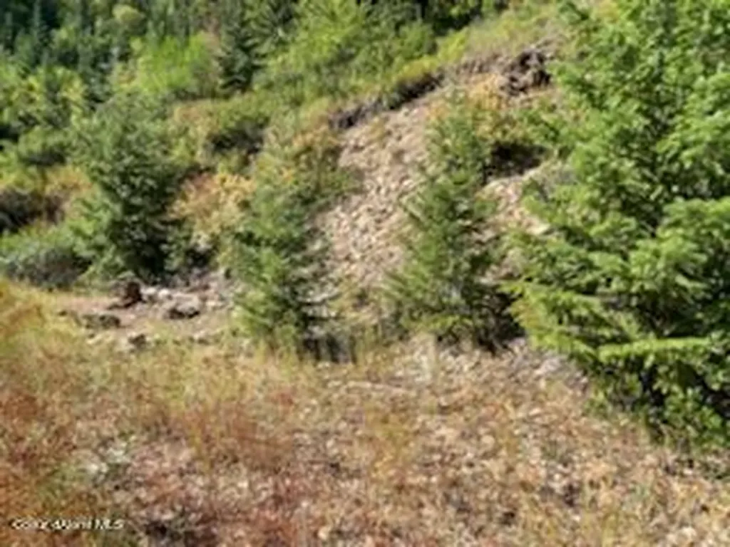 Nka Burke 34.38 Acres Road Wallace ID 83873