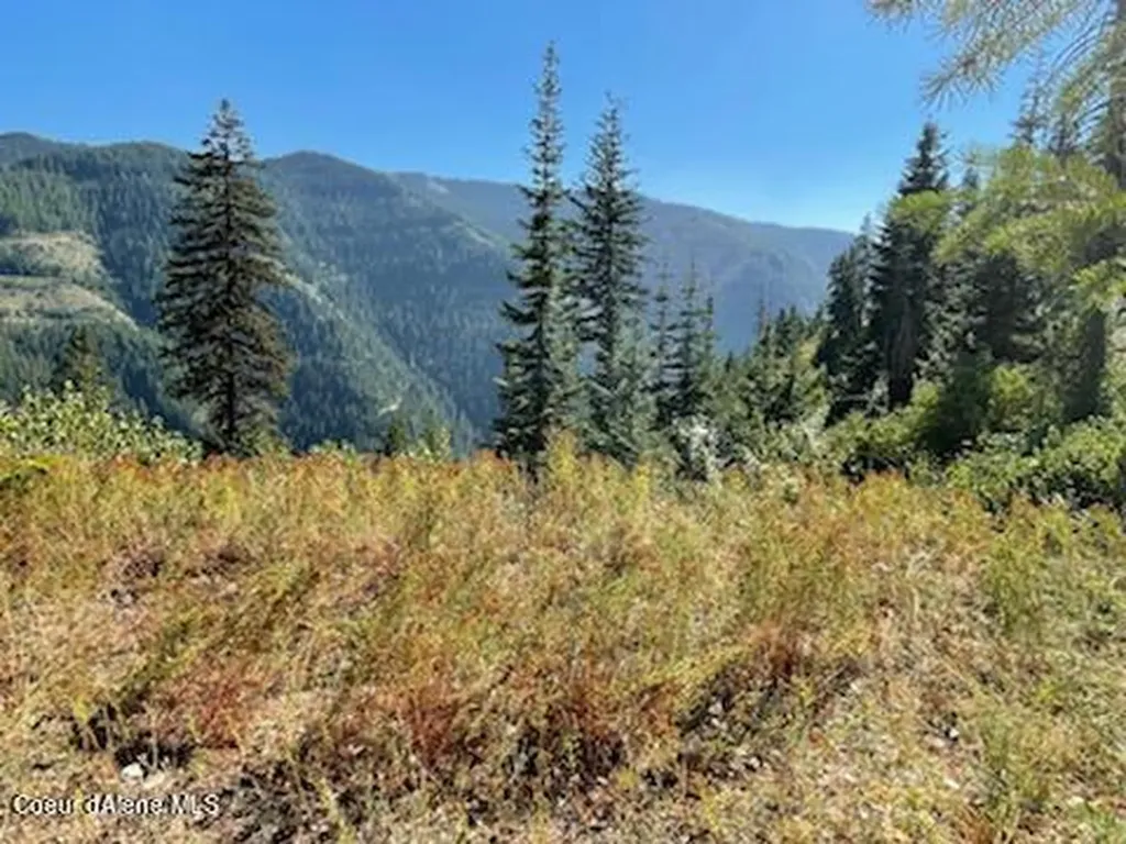 Nka Burke 34.38 Acres Road Wallace ID 83873