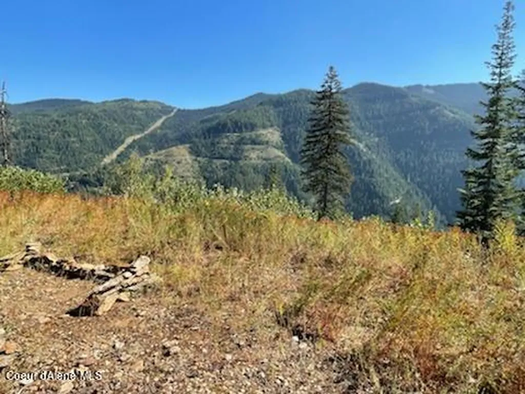 Nka Burke 34.38 Acres Road Wallace ID 83873