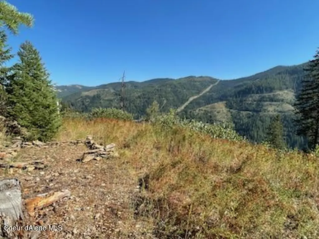 Nka Burke 34.38 Acres Road Wallace ID 83873