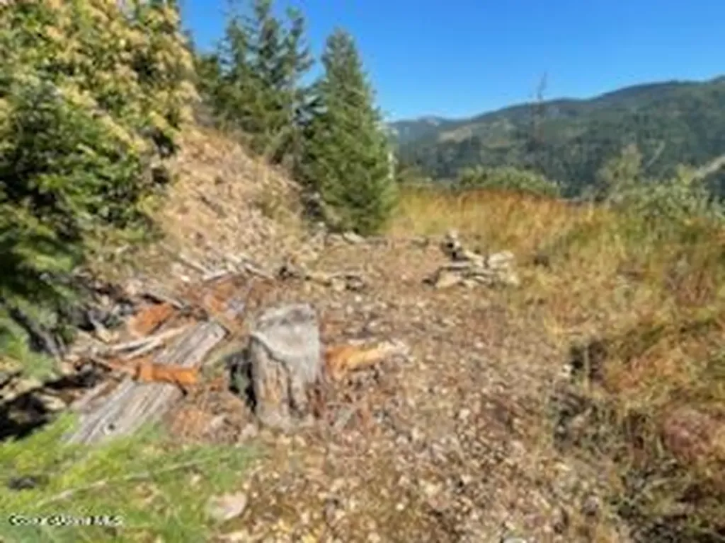 Nka Burke 34.38 Acres Road Wallace ID 83873