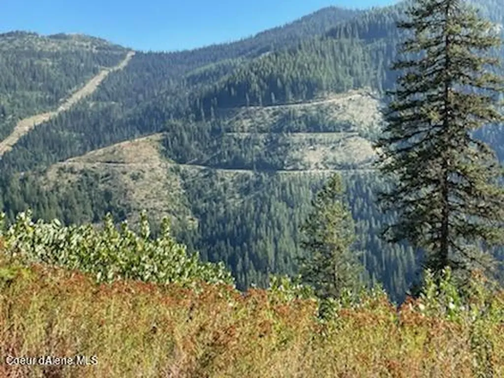 Nka Burke 34.38 Acres Road Wallace ID 83873