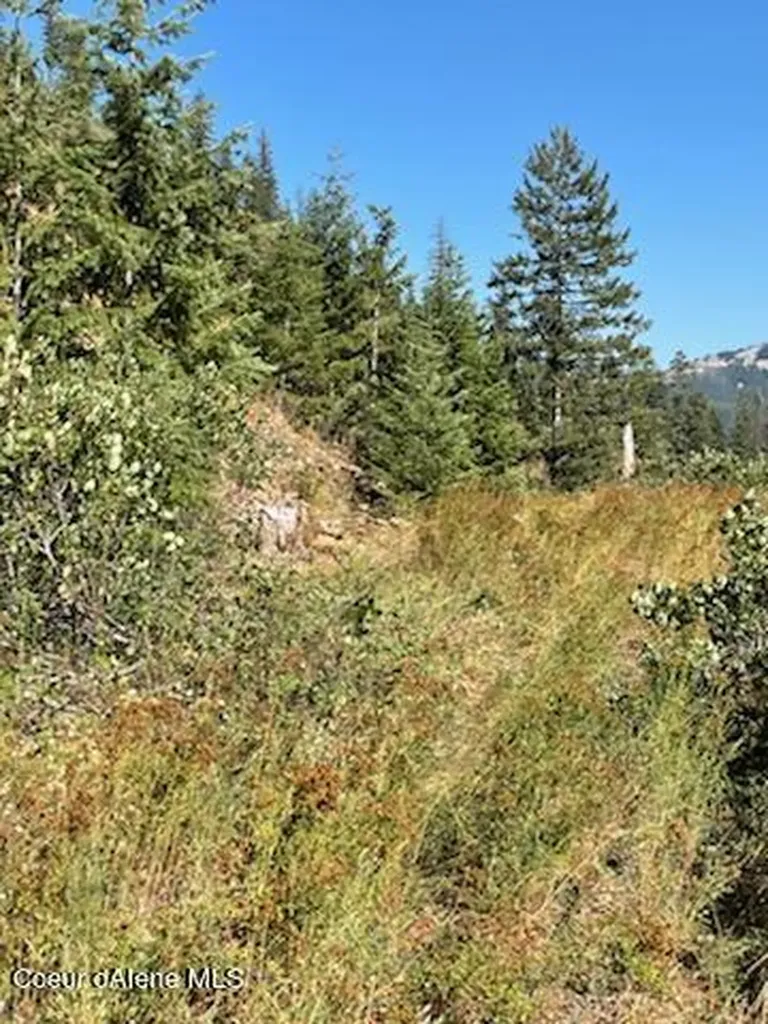 Nka Burke 34.38 Acres Road Wallace ID 83873