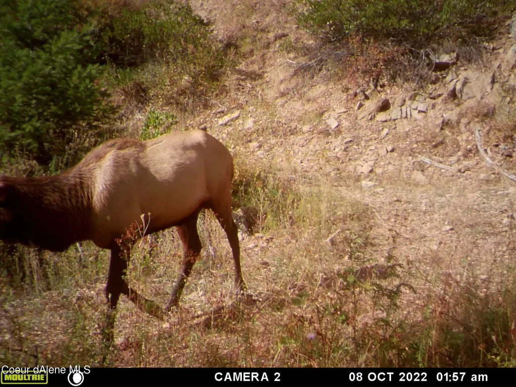 Nka Burke 34.38 Acres Road Wallace ID 83873