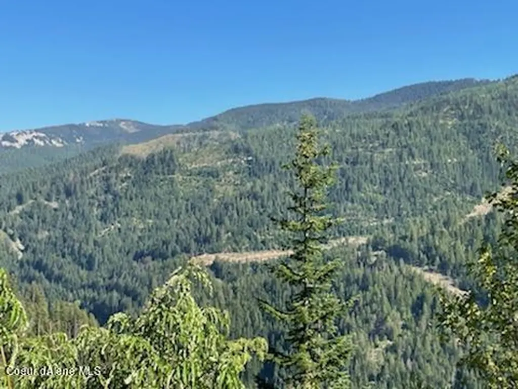Nka Burke 34.38 Acres Road Wallace ID 83873