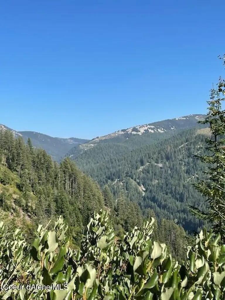 Nka Burke 34.38 Acres Road Wallace ID 83873