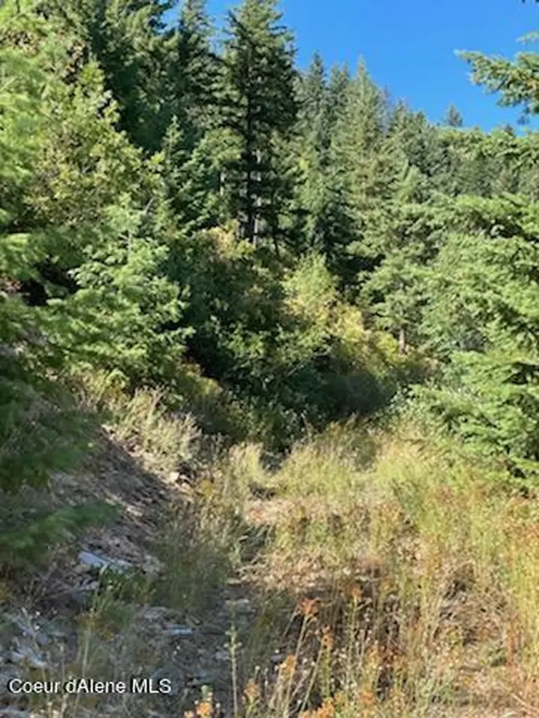 Nka Burke 34.38 Acres Road Wallace ID 83873
