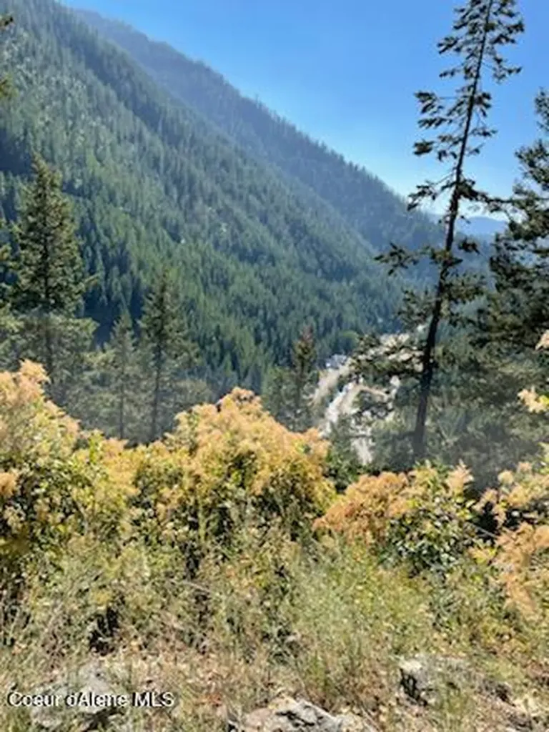 Nka Burke 34.38 Acres Road Wallace ID 83873