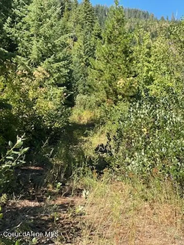 Nka Burke 34.38 Acres Road Wallace ID 83873