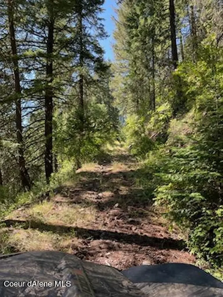 Nka Burke 34.38 Acres Road Wallace ID 83873