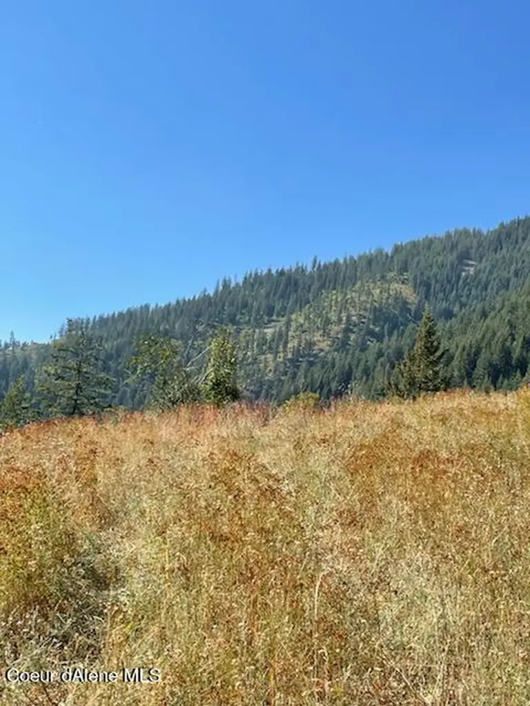 Nka Burke 34.38 Acres Road Wallace ID 83873