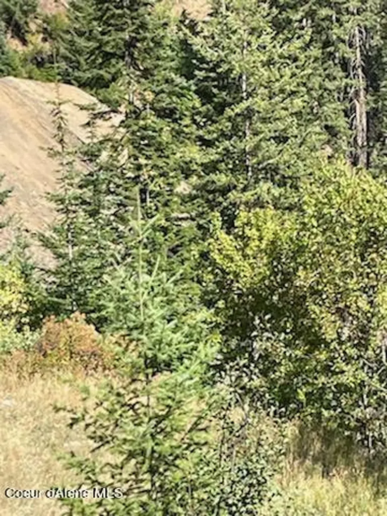 Nka Burke 34.38 Acres Road Wallace ID 83873