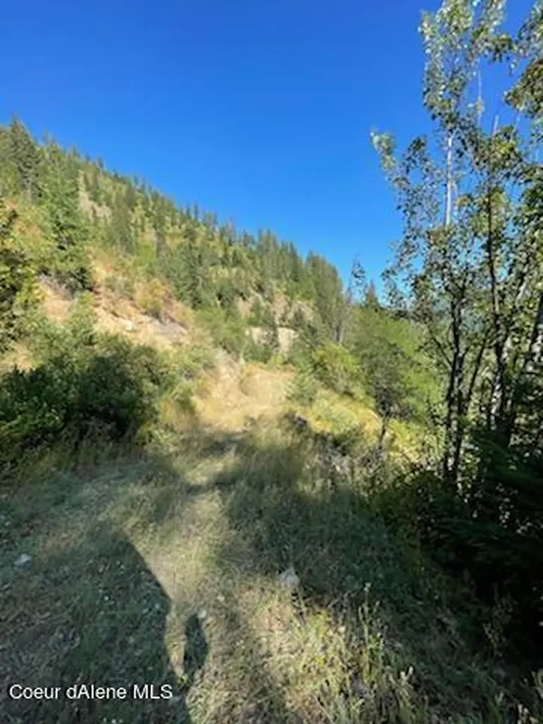 Nka Burke 34.38 Acres Road Wallace ID 83873