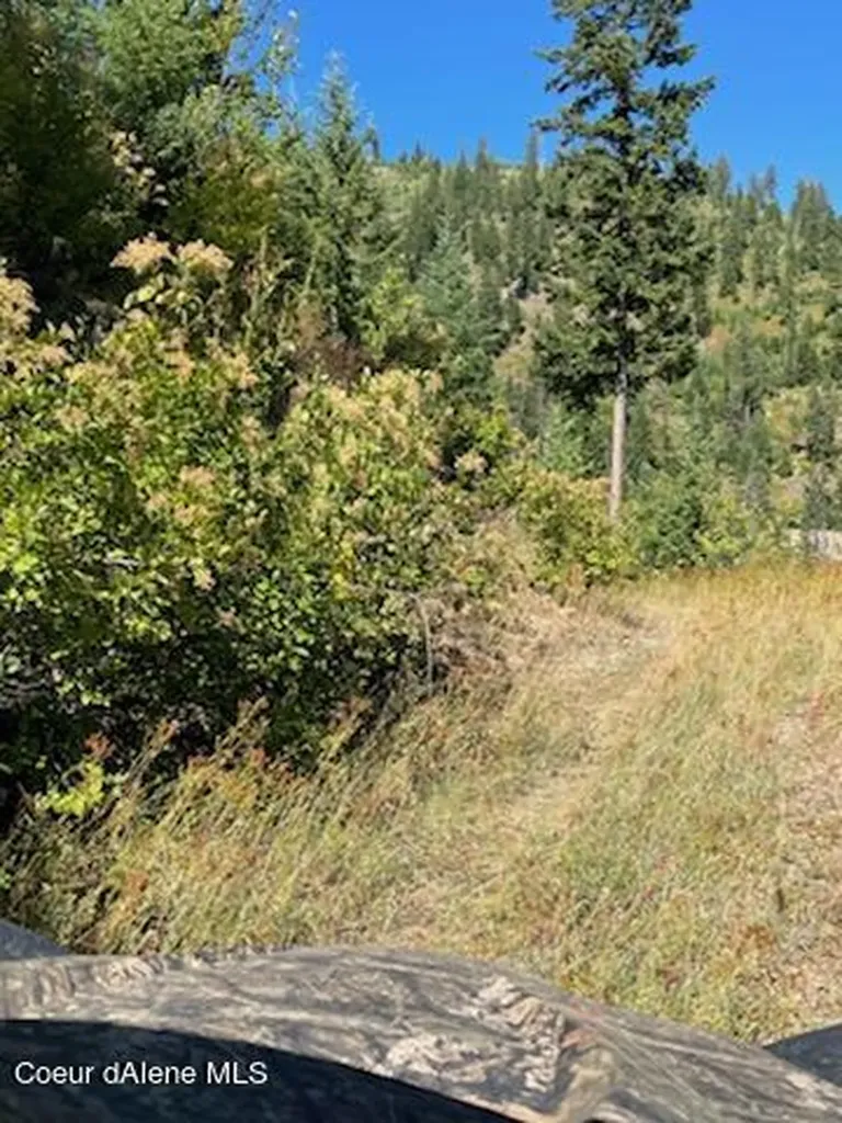 Nka Burke 34.38 Acres Road Wallace ID 83873
