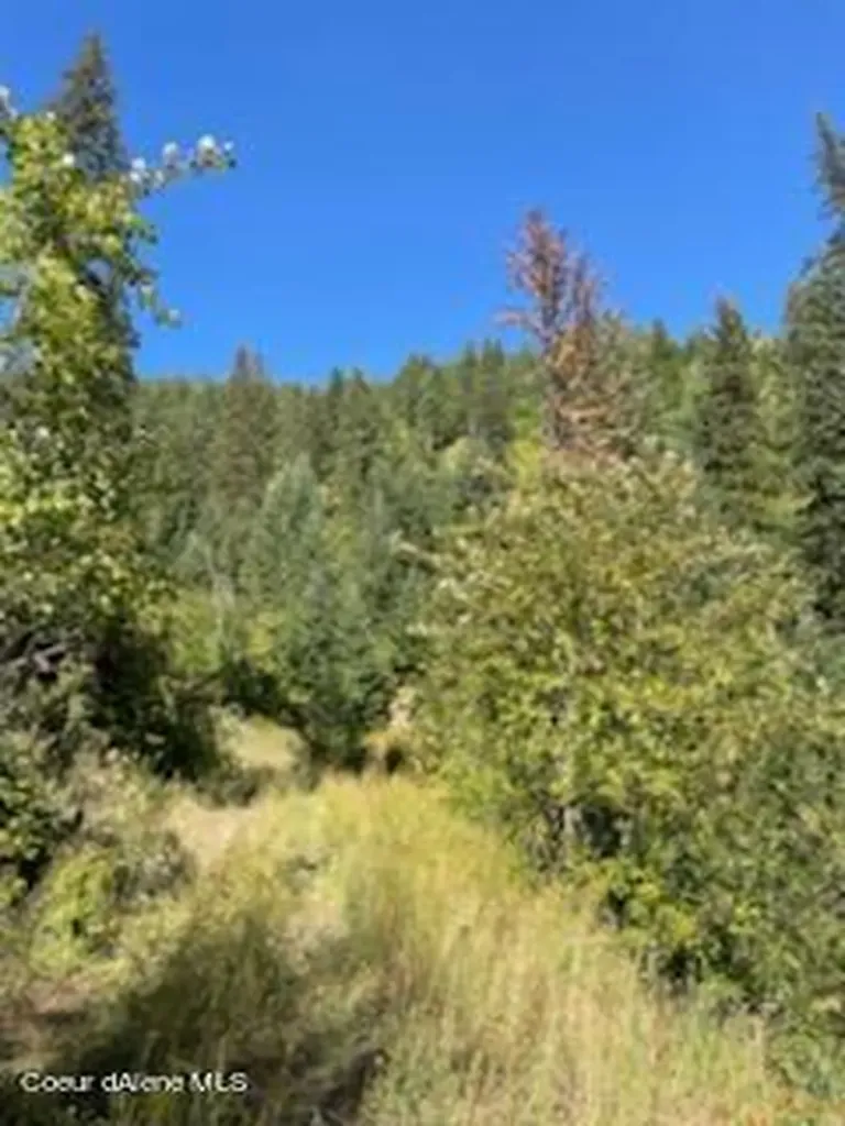 Nka Burke 34.38 Acres Road Wallace ID 83873